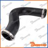 Gaine de suralimentation pour CITROEN | GPP-CT-037, 09954